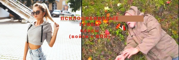 гидра Алзамай