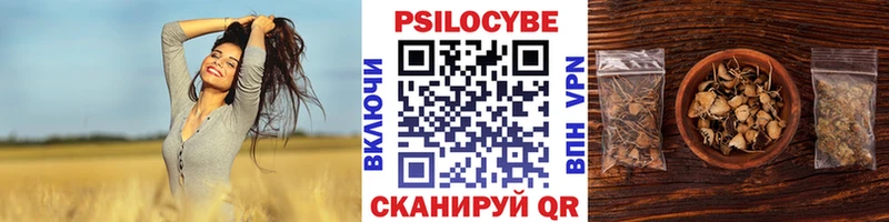 Галлюциногенные грибы GOLDEN TEACHER  цена наркотик  Дрезна 